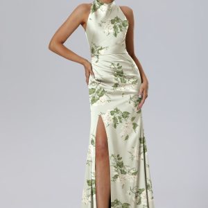 Maharaol Dress
