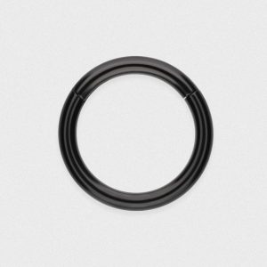 Black PVD Titanium Hinged Segment Ring