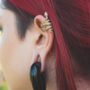Ear Cuffs