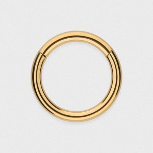 Gold PVD Titanium Hinged Segment Ring