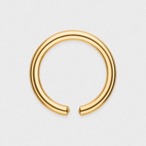 Gold PVD Titanium Seamless Nose Ring