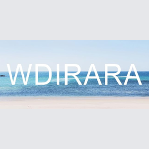 WDIRARA Lingerie