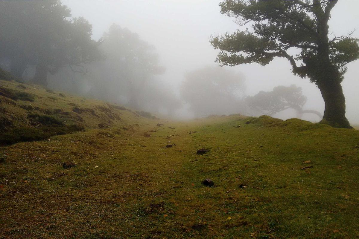 Serangan Israel ke Lebanon bebani pasar saham, IHSG tetap menguat